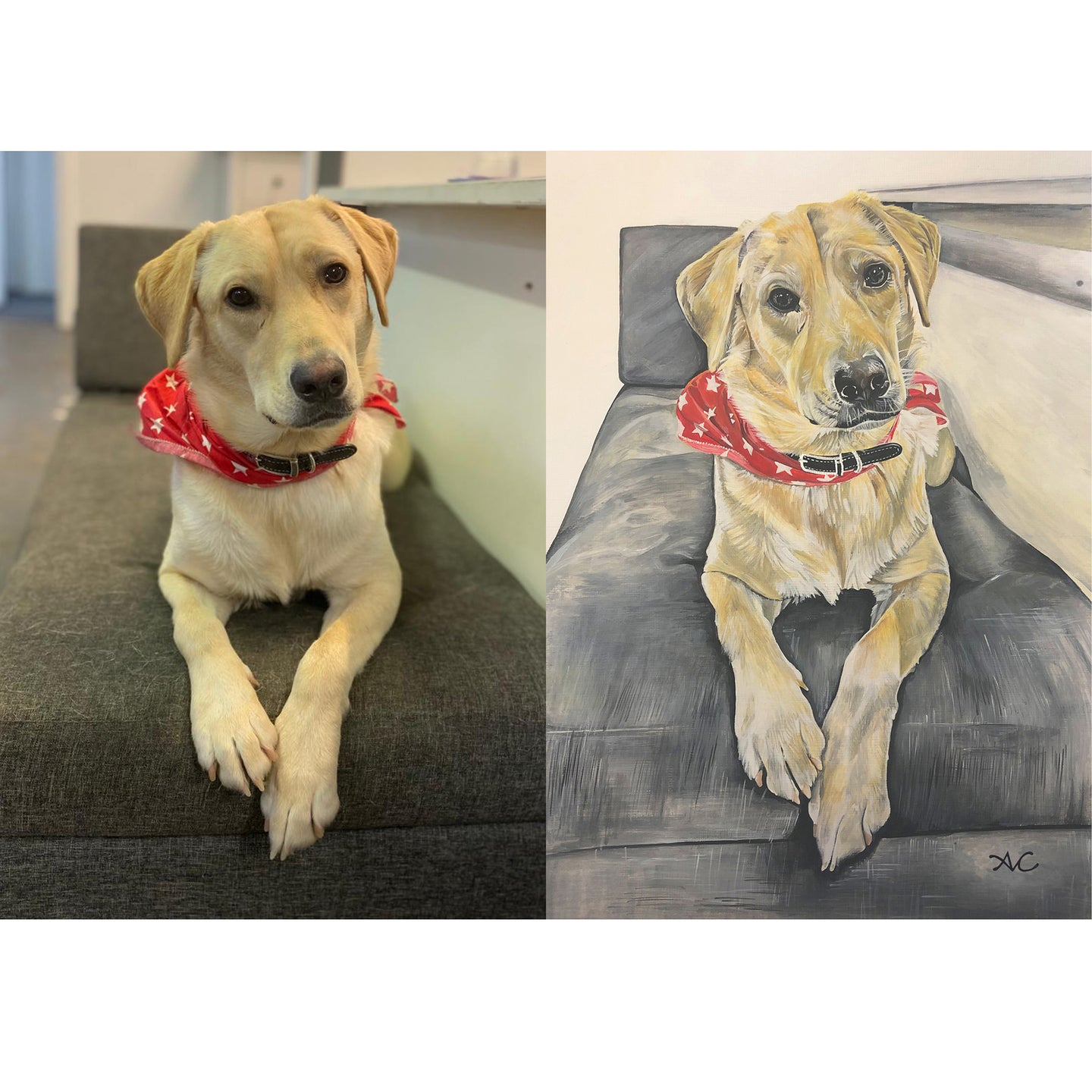 PET PORTRAIT PAINTINGS